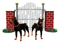 cd dogs and gate